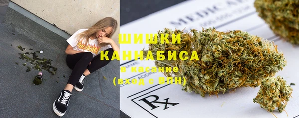 мдма Снежногорск