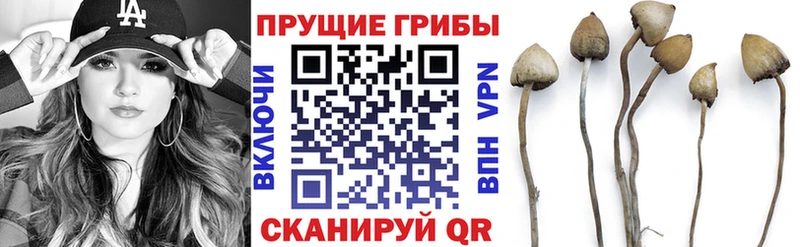 Галлюциногенные грибы мухоморы  где продают   Кировград 